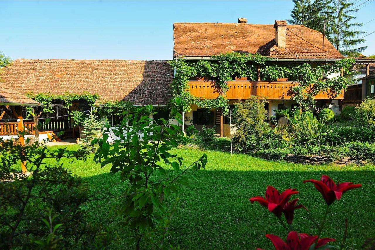 Transylvanian Country House Vetca Zewnętrze zdjęcie