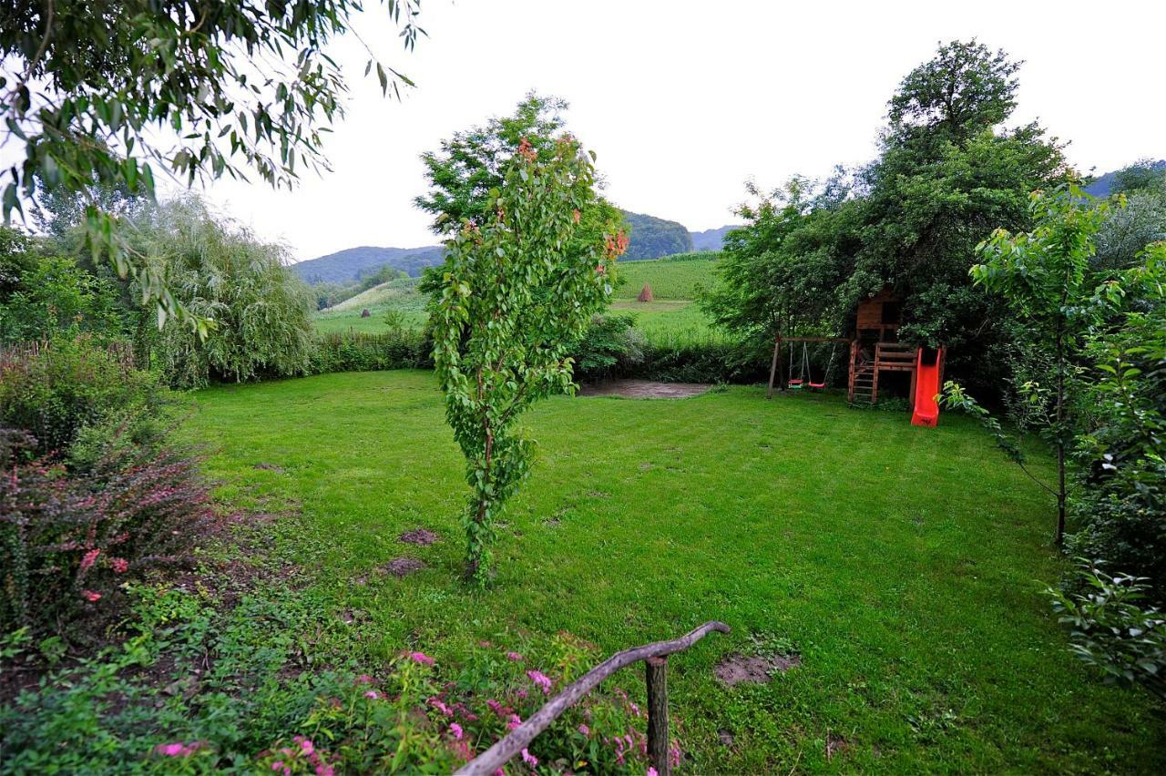 Transylvanian Country House Vetca Zewnętrze zdjęcie